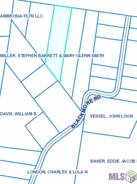 lot D-7 Blackmore Rd, Saint Francisville, LA 70775