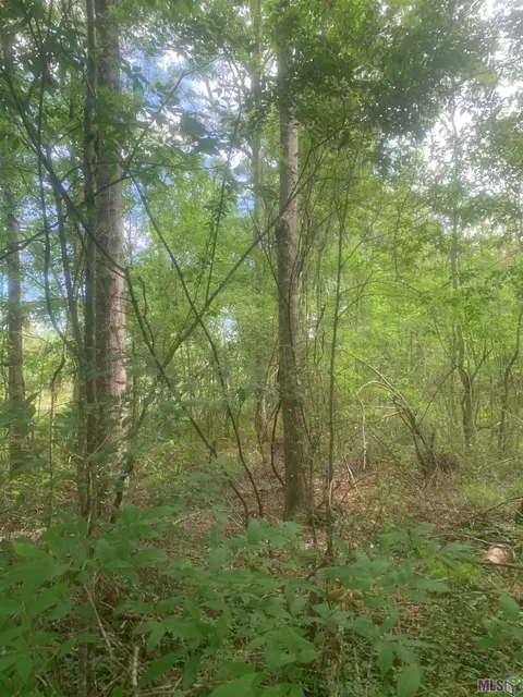 lot C La Hwy 955, Ethel, LA 70730