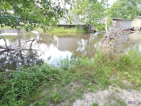 13031 Deer St, Maurepas, LA 70449 photo 11