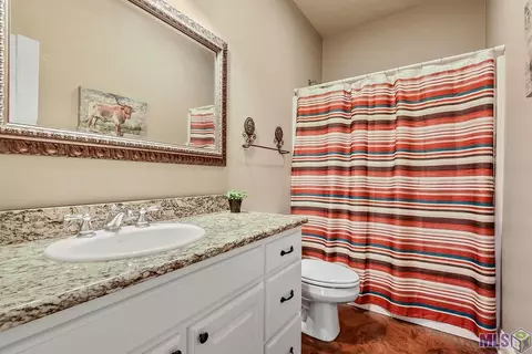 31013 Lake Spring Dr, Walker, LA 70785 photo 10