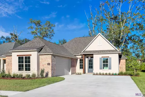 5096 Black River Rd, Darrow, LA 70725 photo 12