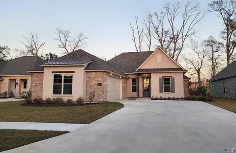 5096 Black River Rd, Darrow, LA 70725 photo 11