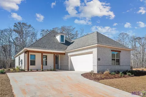 23309 Cypress Cv, Springfield, LA 70462