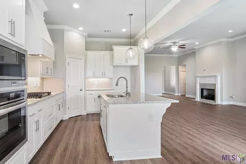 5165 Black River Rd, Darrow, LA 70725 photo 5