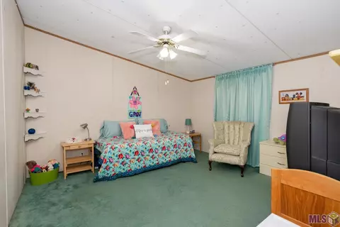 32438 Weiss Rd, Walker, LA 70785 photo 27