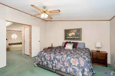 32438 Weiss Rd, Walker, LA 70785 photo 23