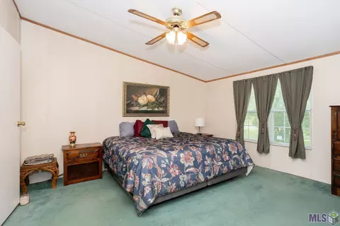 32438 Weiss Rd, Walker, LA 70785 photo 22