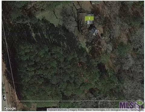 32438 Weiss Rd, Walker, LA 70785 photo 39