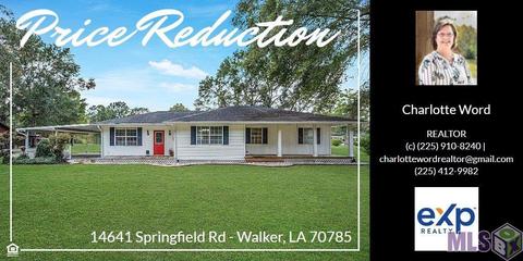 14641 Springfield Rd, Walker, LA 70785 photo 1