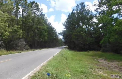 24906 Blood River Rd, Springfield, LA 70462 photo 2