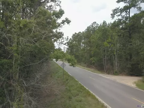 24906 Blood River Rd, Springfield, LA 70462 photo 7