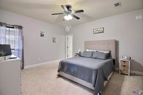 12740 Roe Dr, Walker, LA 70785 photo 17