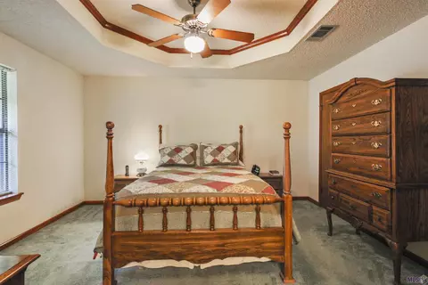 36355 N Corbin Rd, Walker, LA 70785 photo 17