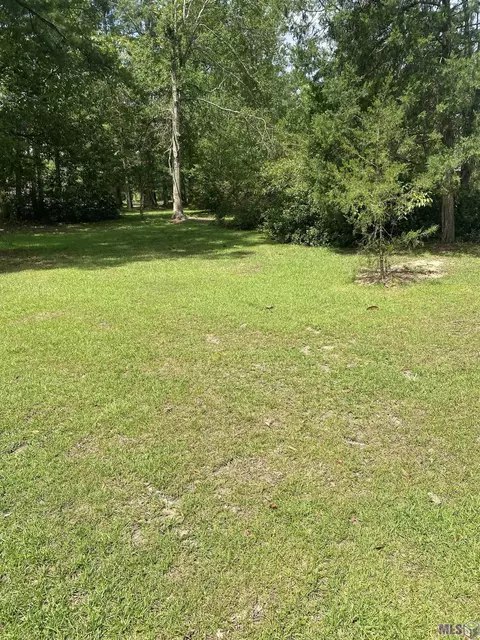 28453 Red Oak Dr, Walker, LA 70785 photo 14