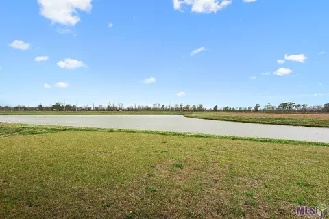 5207 White River Rd, Darrow, LA 70725 photo 16