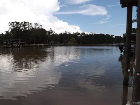 18572 River Bend Rd, Maurepas, LA 70449 photo 13