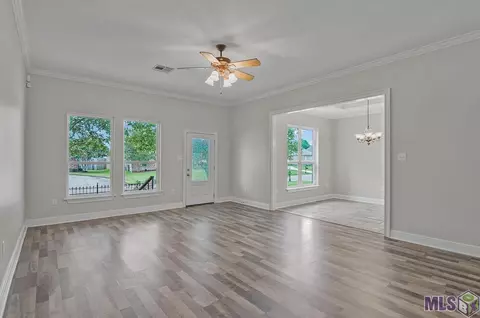 28025 Great Eagle Ave, Walker, LA 70785 photo 4