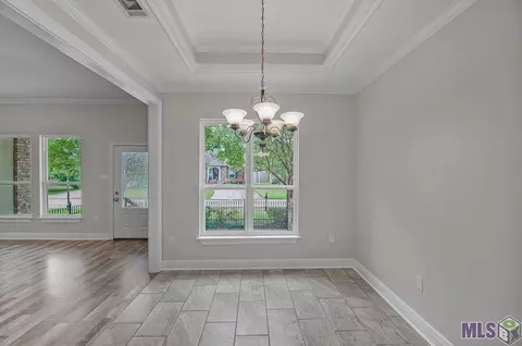 28025 Great Eagle Ave, Walker, LA 70785 photo 5