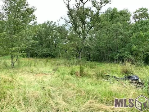 32305 Butch Bennett Rd, Walker, LA 70785 photo 2