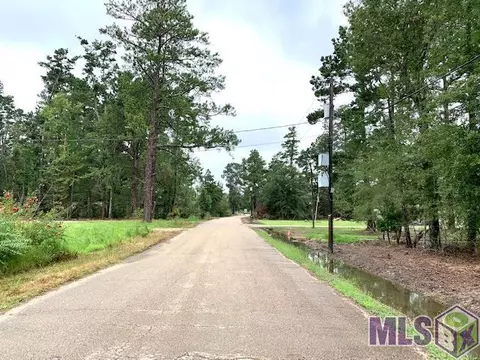 32305 Butch Bennett Rd, Walker, LA 70785 photo 1