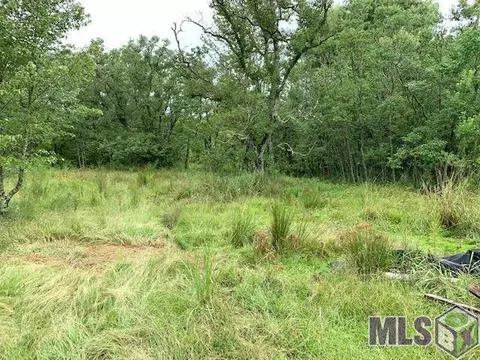 32305 Butch Bennett Rd, Walker, LA 70785 photo 5