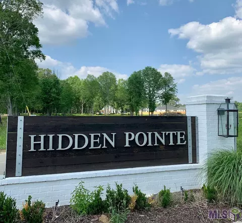 4327 Hidden Pointe Dr, Jackson, LA 70748 photo 1