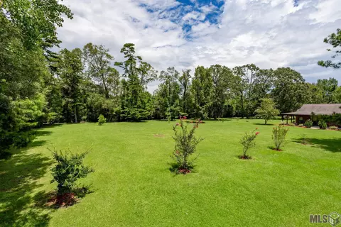 31933 Butch Bennett Rd, Walker, LA 70785 photo 27