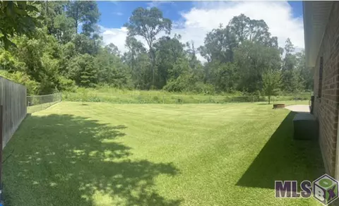 14175 Meadow Brook Ln, Walker, LA 70785 photo 19