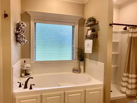 14175 Meadow Brook Ln, Walker, LA 70785 photo 16