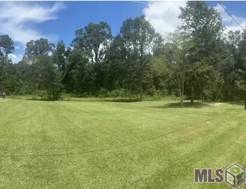 14175 Meadow Brook Ln, Walker, LA 70785 photo 20