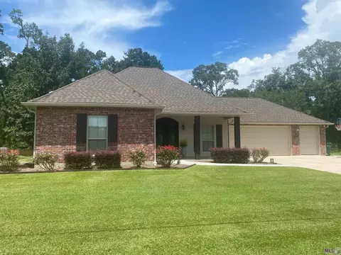 14175 Meadow Brook Ln, Walker, LA 70785 photo 1