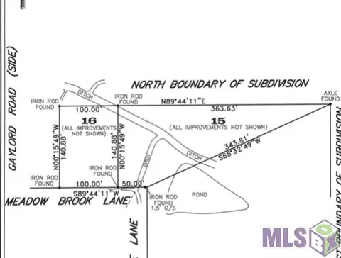 14175 Meadow Brook Ln, Walker, LA 70785 photo 21