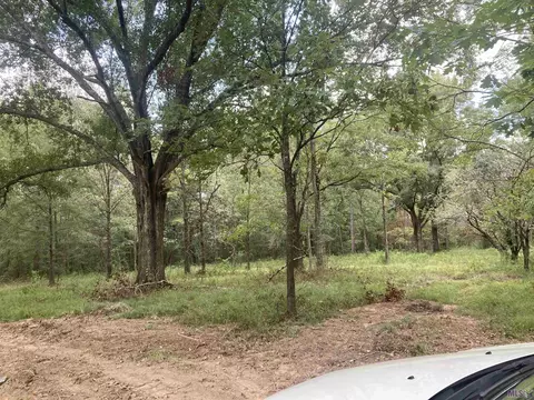 12615 Gurney Rd, Central, LA 70714 photo 7