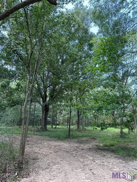 12615 Gurney Rd, Central, LA 70714 photo 2