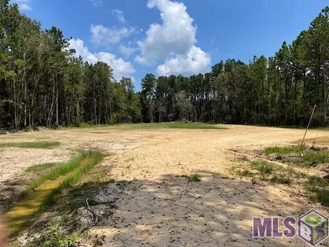 21197 La Hwy 442, Holden, LA 70744