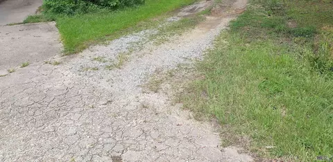 tbd Forest Dr, Walker, LA 70785 photo 2