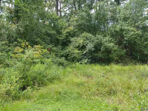 tbd Forest Dr, Walker, LA 70785