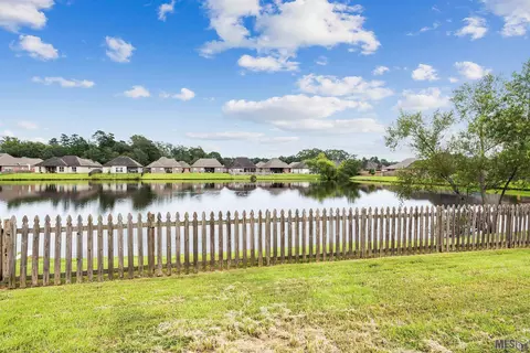 31036 Lake Spring Dr, Walker, LA 70785 photo 3