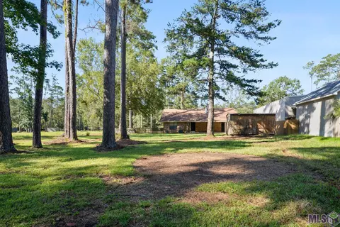 31469 River Pines Dr, Springfield, LA 70462 photo 26
