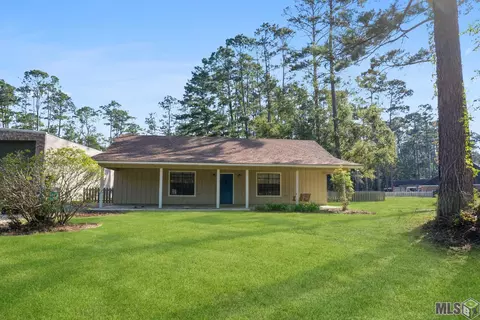 31469 River Pines Dr, Springfield, LA 70462 photo 2