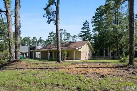 31469 River Pines Dr, Springfield, LA 70462 photo 3