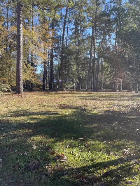 31387 River Pines Dr, Springfield, LA 70462 photo 2