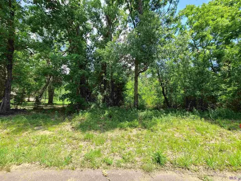 tbd Amite Acres Dr, Springfield, LA 70462