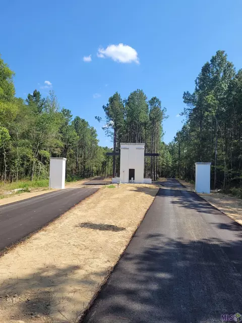 lot2 Hidden Oaks Ln, Denham Springs, LA 70706