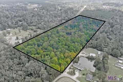 tbd Hopkins Rd, Holden, LA 70744