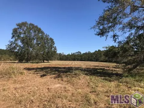 14 19 Acres Bradford Rd, Amite, LA 70422