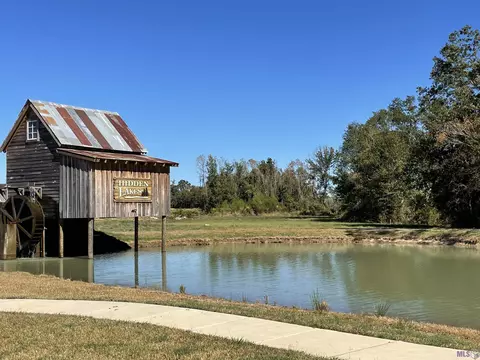43451 Collyns Cv, Prairieville, LA 70769