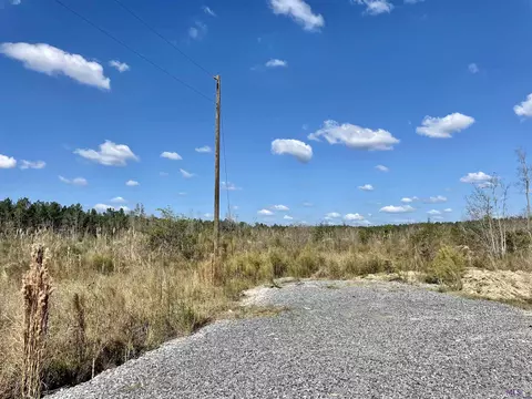 T-8 Palmer Rd, Livingston, LA 70754