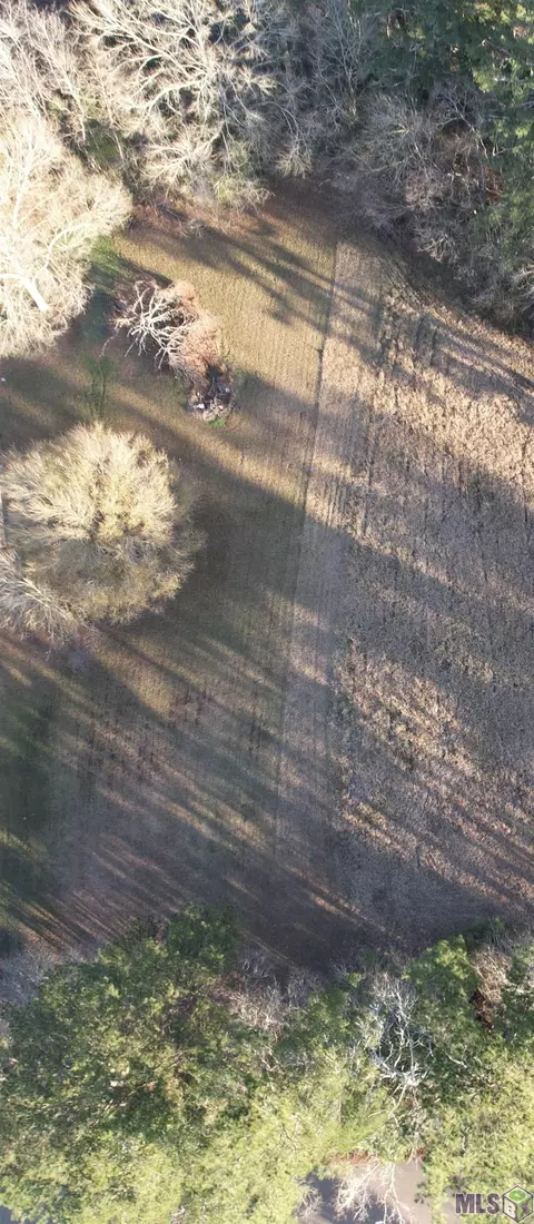 32380 Butch Bennett Rd, Walker, LA 70785 photo 3