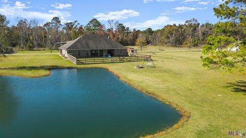 14913 Lewis Rd, Maurepas, LA 70449 photo 1